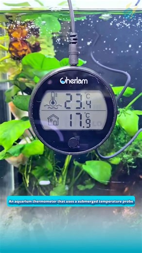 An aquarium thermometer that uses a submerged temperature probe
