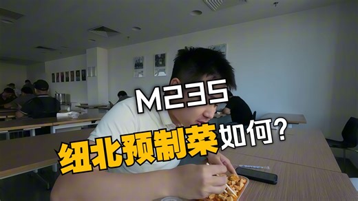 20万纽北预制菜M235怎么样？