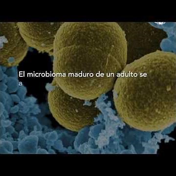 ¿Qué es la microbiota?