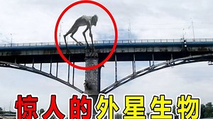 全球10大“外星人”目击事件，科学家无法解释，外星人真的存在吗