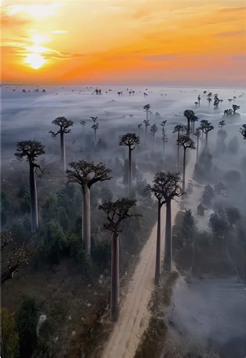 Explore Madagascar: Beyond Books and Maps