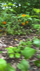 Mrs. Laura W. Bush's 2024 Summer Reading List is finally here! View and purchase the selection at www.bushcenter.org/summerreading2024 Happy reading!✨📔 | George W. Bush Presidential Center