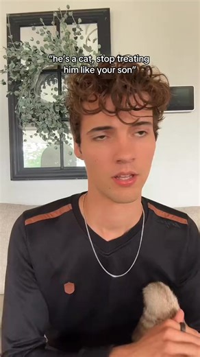 Not in my house #cats #catsoftiktok #catlover #cattok #funnycat | Jared and Milo