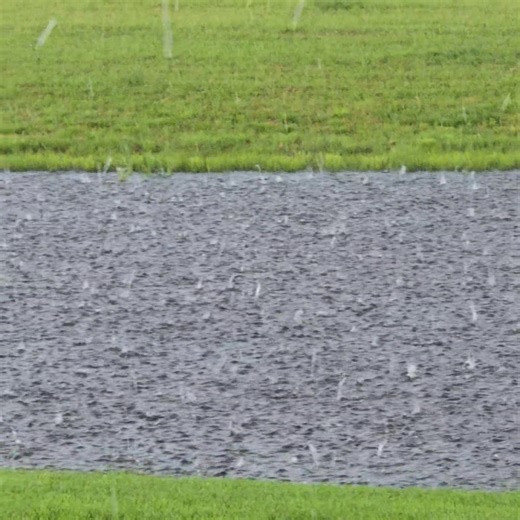 Severe weather is moving into East Tennessee. This is hail from Steve Kucinski in Crossville. We want to see what's happening where you live. Submit your pictures and videos here: https://tinyurl.com/22uu7j9j | WVLT