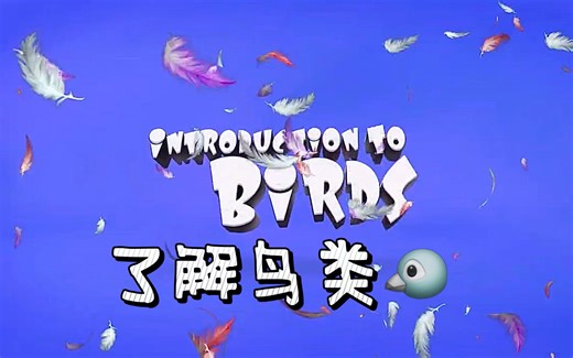 LEARN BRIGHT英语科普#鸟类大揭秘!#Introduction to Birds