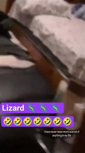 Lizard #Lizard #scared #animalattack #funny #laugh