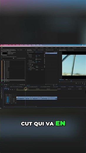 Premiere Pro: Détection de Cuts pour Étalonneurs Facilement #shorts