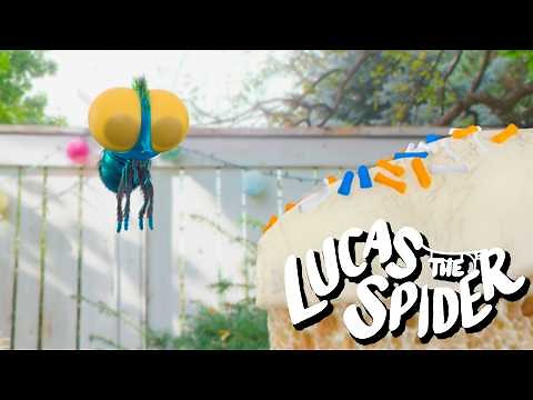Findley Gets a Surprise Birthday Cake | Cartoon for Kids | Lucas the Spider