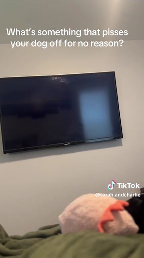 @Netflix please change your loading page… im not sure where the animosity came from 🤣