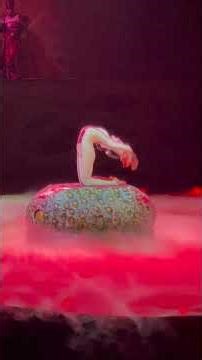 Incredible Soft Art Jiu-Jitsu Performances: Unleash Your Imagination