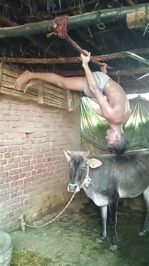 Back Lever Practice ☠️🏋️💪 #calisthenics #desihomegym