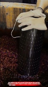 Innovative Traditional Wine Grape Must Extraction System: Best Natural Juice Separation