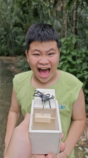 The chaotic gift box