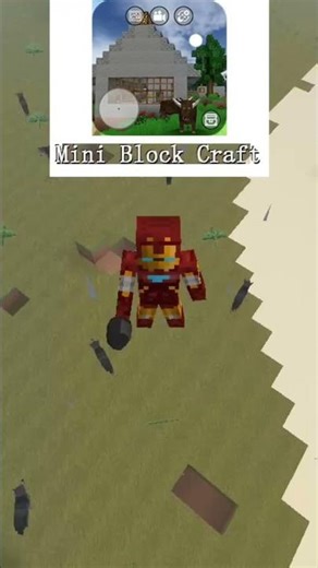 Mini Block Craft