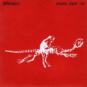 Electro Static Cat - Lethologica