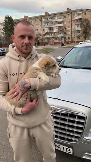 Алабай: Любов та природа в Україні