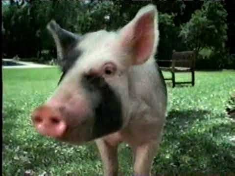 History Channel commercials, 5/26/2001 part 1