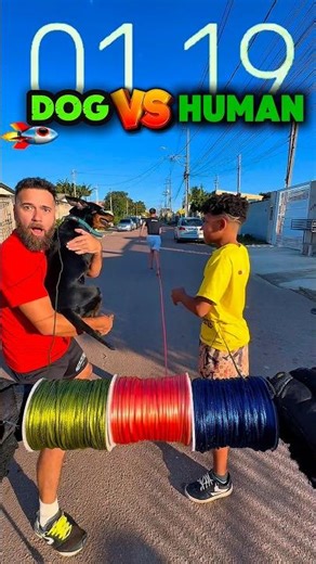 Speed fast the best dog🚀#shorts