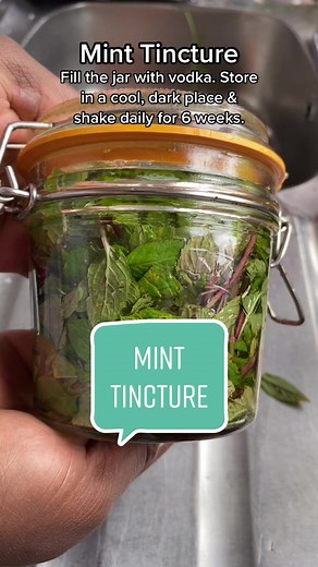How to Make Mint Tincture: A Step-by-Step Guide