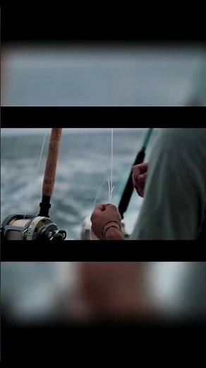 Unbelievable Blue Marlin Fishing Adventure Jumping the Main Line | DU NATION