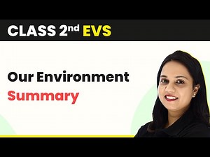 Our Environment - Summary | Class 2 EVS