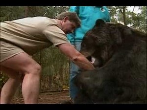 Remembering Steve Irwin