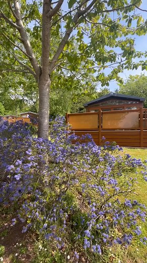 3.2K views | A little snapshot of our beautiful holiday resort in...