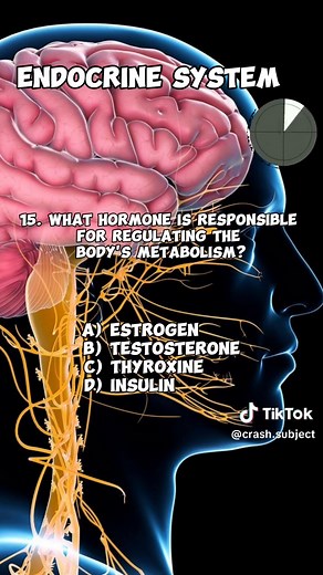 Endocrine system | Quiz 3 #endocrine #bodysystem #fyp #quiz #fypシ #anaphy