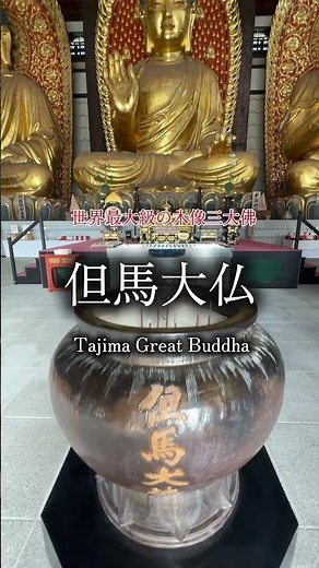 兵庫県香美町にある、世界最大級の木像三大佛は迫力満点「但馬大仏」 #旅行 #おすすめ #景色綺麗 #人気 #歴史 #観光 #絶景 #兵庫県#香美町#世界最大級#大仏#圧巻