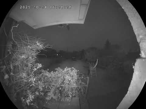 2.43 EARLY MORNING WAKE UP CALL..