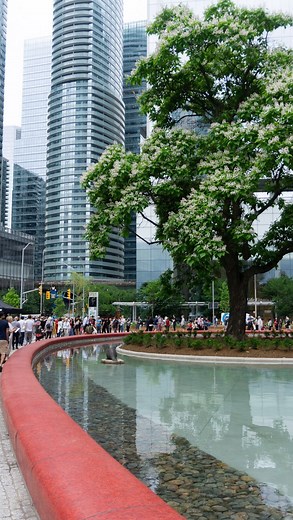 3.1K views · 25 reactions |  Through heavy rain and excited crowds, UrbanToronto got the opportunity to speak with renowned landscape architect Claude Cormier. Listen to his thoughts behind his newest project, Love Park, at its official opening along #Toronto’s waterfront! #torontolife #tourism #destination #park #interview #architecture #archlovers #development #construction #city #urban #urbantoronto #fyp | Urban Toronto | Facebook