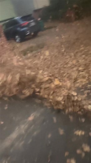 Pronto Yard Landscape Service And Maintenance on Reels