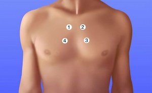 Suggested sequence for anterior assessment of breath sounds