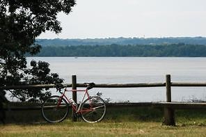 Bike cameras trending among cyclists for safety