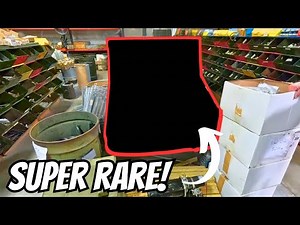 You won't believe the incredible finds at Army surplus!