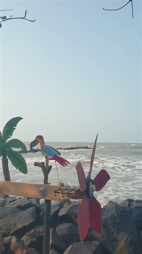 bird whirligig #diycrafts #whirligig #windmillcraft #birds #simplecrafts