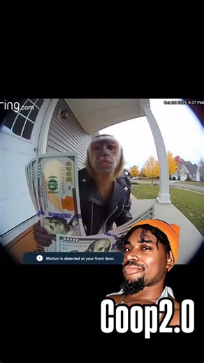 52K views · 1.7K reactions | I’m going to jail baby open the door real quick Funny animal voices By Coop2.0 | Coop 2.0 | Facebook