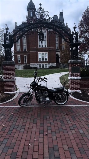 I just wanna crank my hog #rig #muddiggin #harley #ai