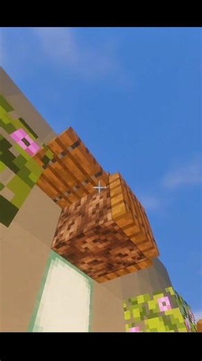 Minecraft Floating Armor 💀