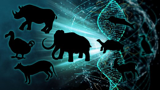 De-Extinction: Should We Bring Extinct Species Back From The Dead?