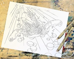 Baby Sea Turtle PRINTABLE DOWNLOAD Hand Drawn Coloring Page for Adults and Kids - Etsy Australia