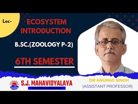 B.Sc Zoology by Dr Anurag Singh: Ecosystem Introduction|#sjmahavidyalaya #csjmu