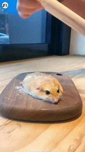 2M views · 10K reactions | Note : Clips And Videos Used Only Education Purpose Credit : Respected Owner Note: Tips and advice given in the post are for general information only and should not be taken as professional medical advice. Before taking any action, consult your doctor . . #pregnancy #womens #healthylifestyle #hyderabad #telugureels | Telugu Health Tips | Facebook