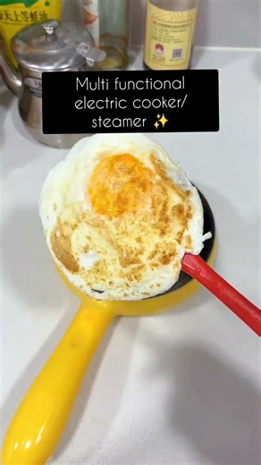 Multi functinal electric cookr steamr travellers best partner🥳#MultifunctionalElectricCooker #shorts