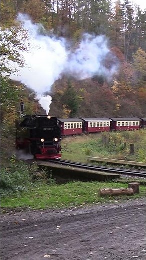 German Steam Train in the Harz Mountains