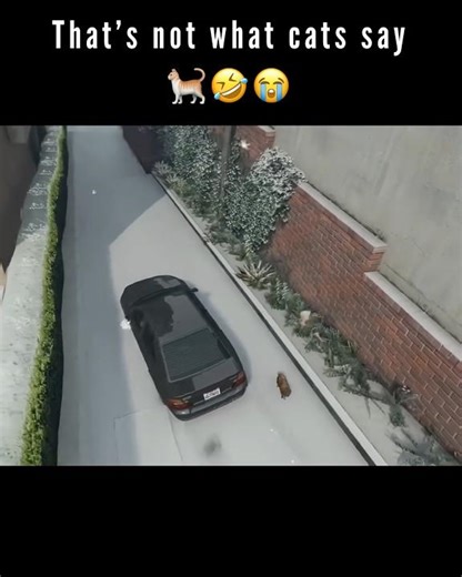 The Return of Garfield in Grand Theft Auto 5 😭🤣🐈 #gta #gtav #gta5 #gaming #gtaonline