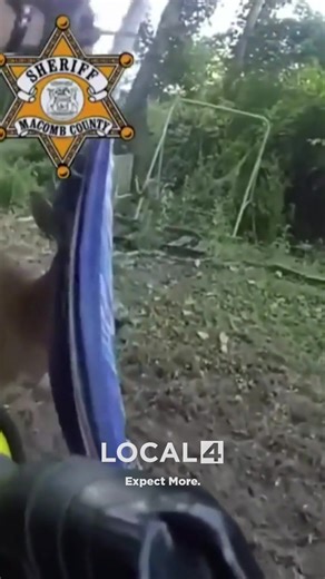 A deer in Harrison Township is feeling like a million bucks after receiving help from the Macomb County Sheriff’s Office. | WDIV Local 4 / ClickOnDetroit