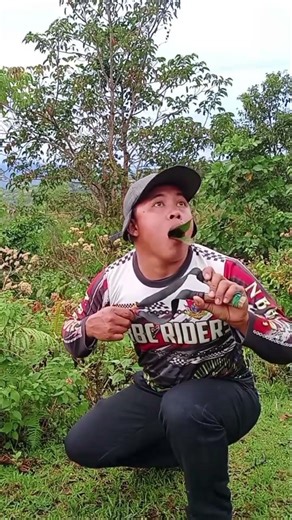 Entertainment #mrbertingmixtv #birds