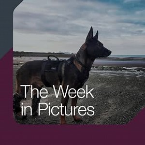 2.8K views · 219 reactions |  Watch the Defence Week in Pictures...