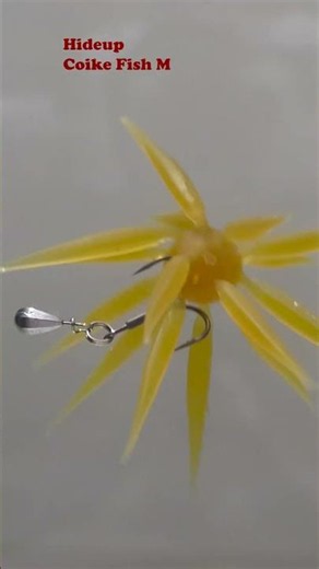 All the Urchin Baits Underwater